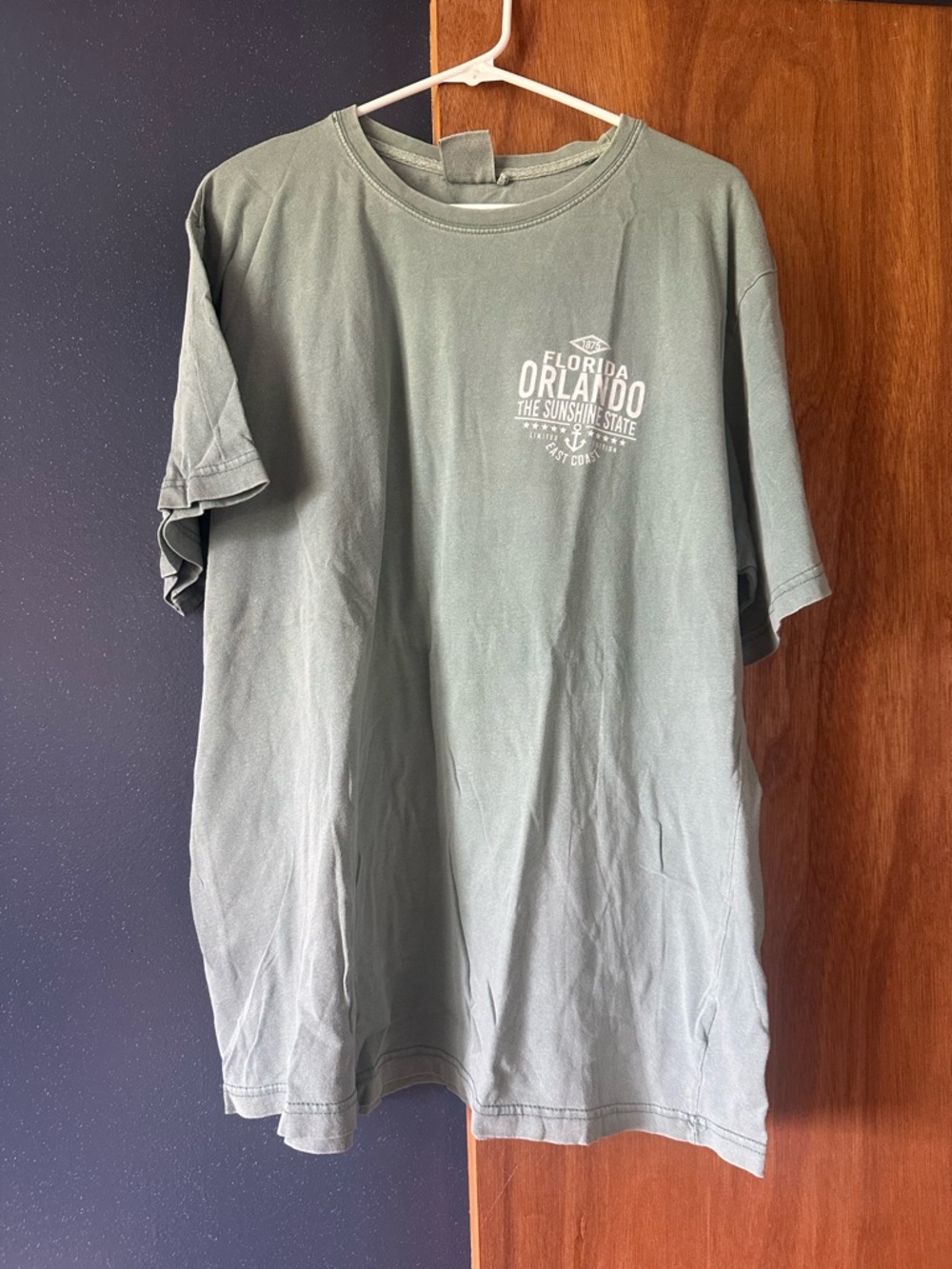 Orlando Graphic Short Sleeve Tee - Olive Green